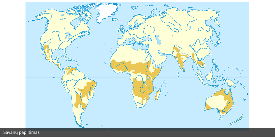 Pasaulio žemėlapis, kuriame išryškintos savanų zonos.