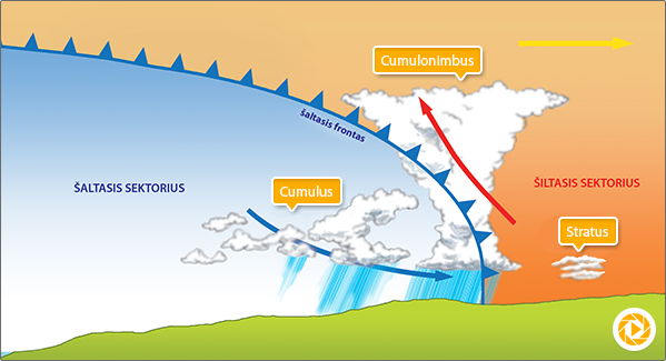 Šaltasis frontas – status šalto oro pleištas, staigiai keliantis šiltą orą ir formuojantis Cumulonimbus debesį.