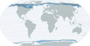 Pasaulio žemėlapis, kuriame išryškintos tundros zonos (arktinė ir alpinė)